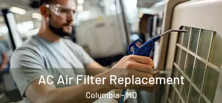  AC Air Filter Replacement Columbia - MD