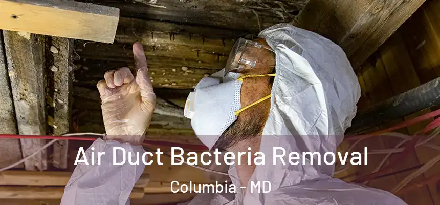 Air Duct Bacteria Removal Columbia - MD