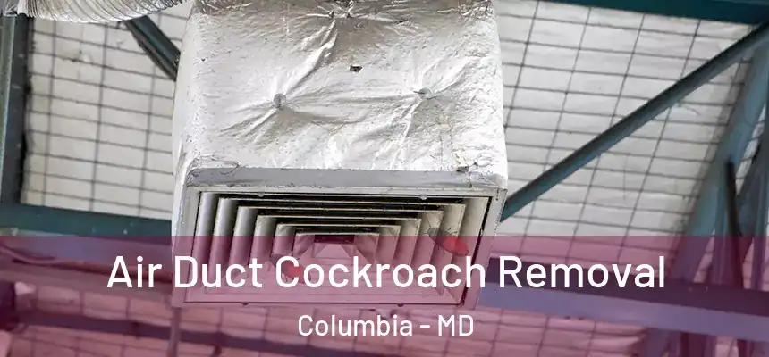 Air Duct Cockroach Removal Columbia - MD