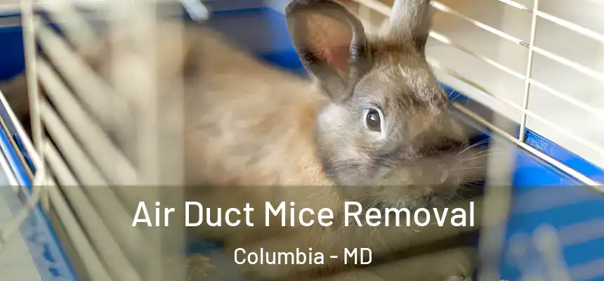 Air Duct Mice Removal Columbia - MD
