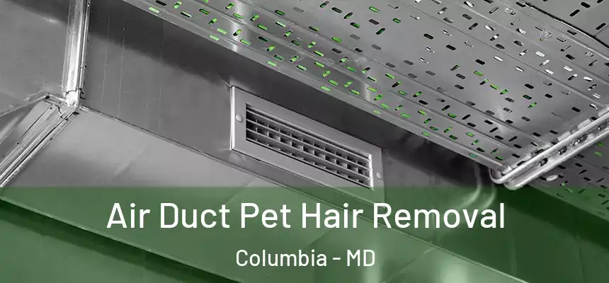 Air Duct Pet Hair Removal Columbia - MD