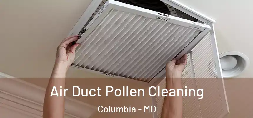 Air Duct Pollen Cleaning Columbia - MD