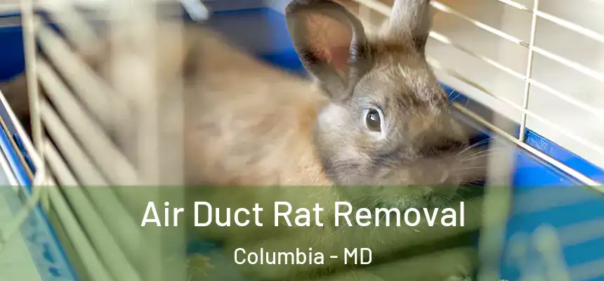 Air Duct Rat Removal Columbia - MD