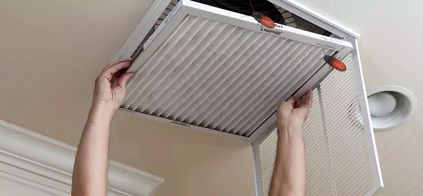 Our Insect Removal from Air Ducts Services in Columbia, MD