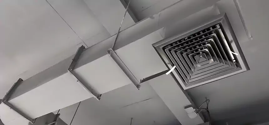 Our Pest Removal From Ducts Services in Columbia, MD