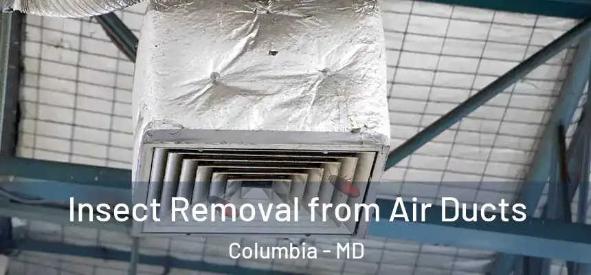  Insect Removal from Air Ducts Columbia - MD