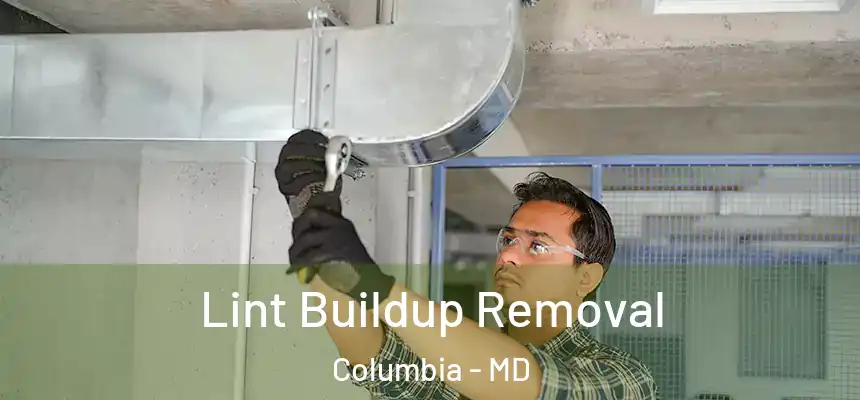  Lint Buildup Removal Columbia - MD