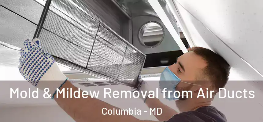 Mold & Mildew Removal from Air Ducts Columbia - MD
