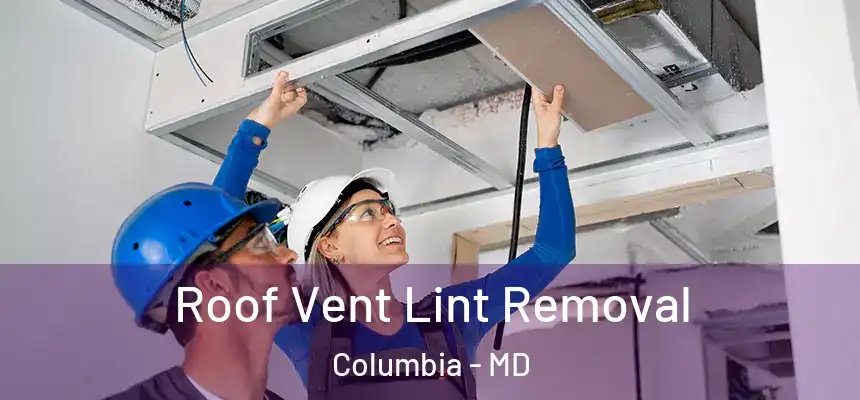 Roof Vent Lint Removal Columbia - MD