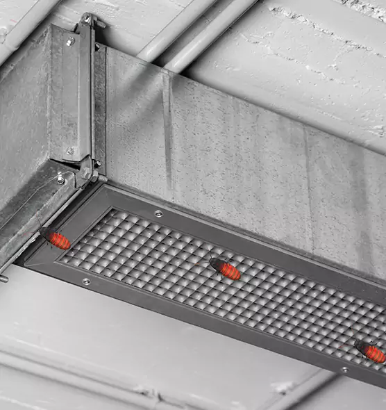 Affordable Insect Removal from Air Ducts in Columbia, MD
