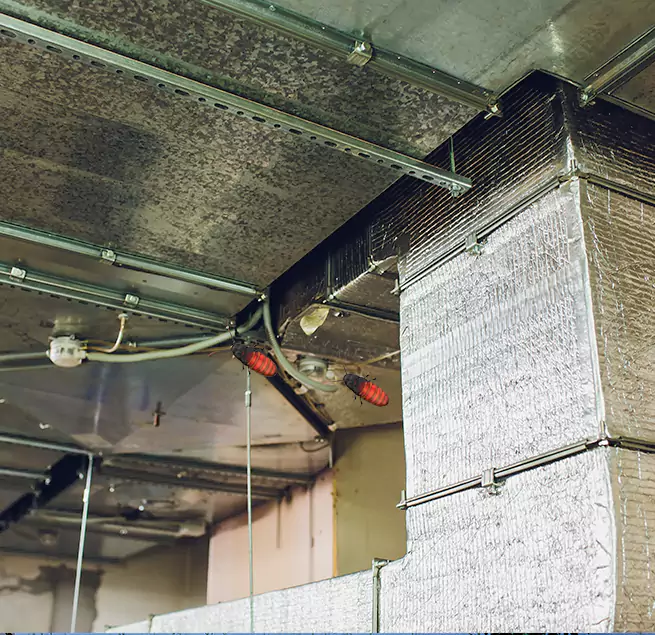 Why Homeowners & Businesses Trust Us in Columbia, MD?