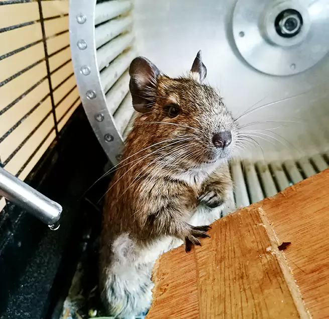 Why Homeowners & Businesses Trust Us Columbia, MD?