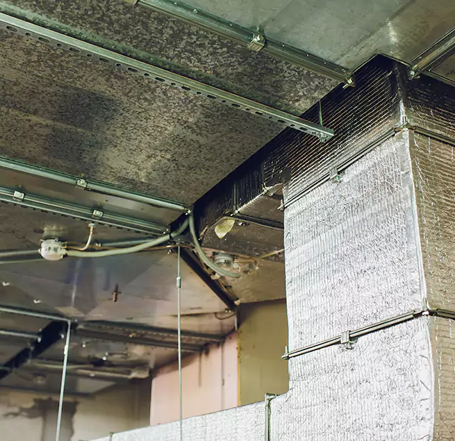 Why Homeowners & Businesses Trust Us in Columbia, MD?